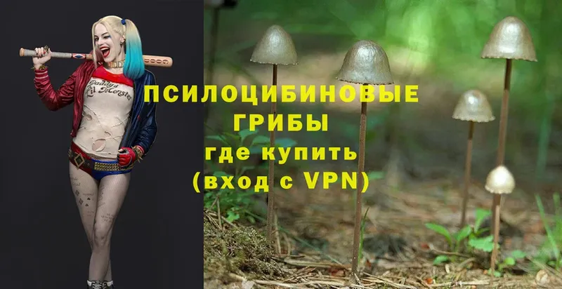 Галлюциногенные грибы Cubensis  ОМГ ОМГ ссылки  Невельск 